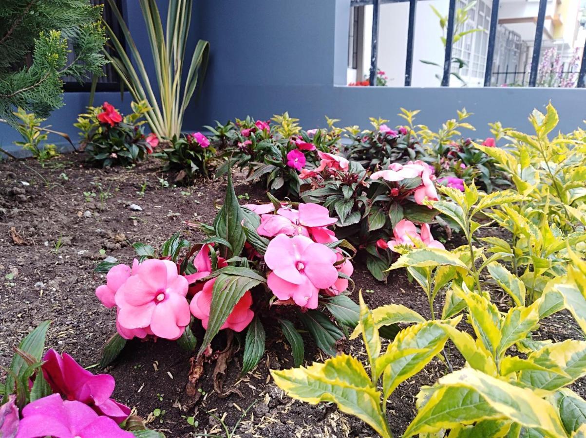 פאסטו Hotel Jardin 38 חדר תמונה